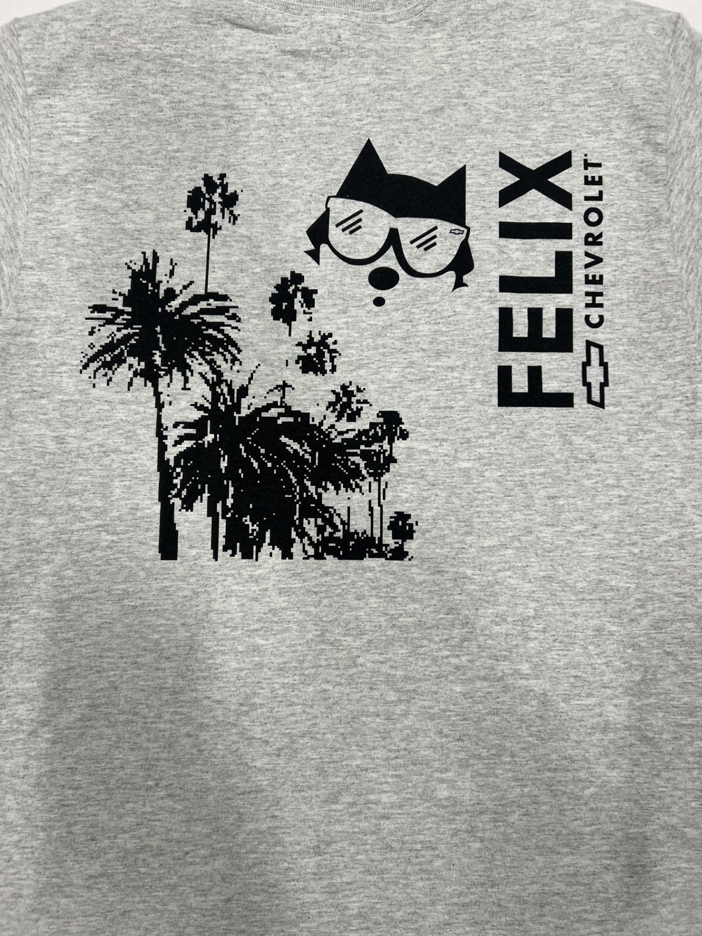 Felix and Palms